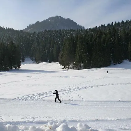 Holiday Altaussee - Osm02100d-fya 公寓 *